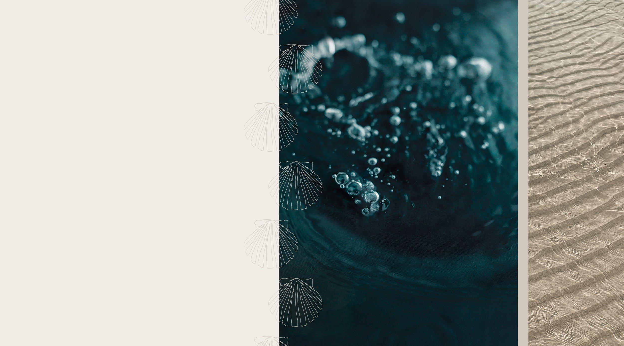 House Rizen backdrop banner in sand with scalloped shell motif pattern on depth water image and shore water ripples.