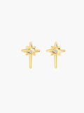 Adoring Star Stud Earring